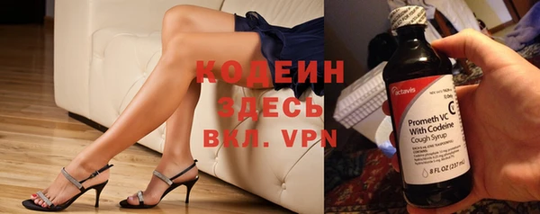 стафф Бородино