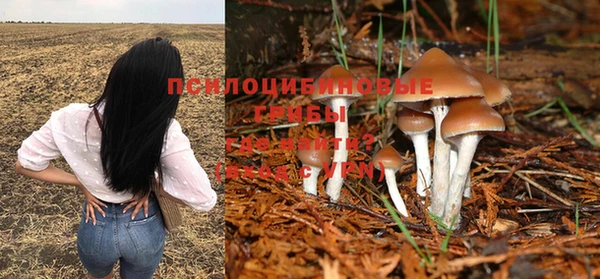 стафф Бородино