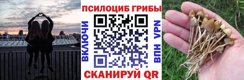 Галлюциногенные грибы мухоморы  Спасск-Дальний 
